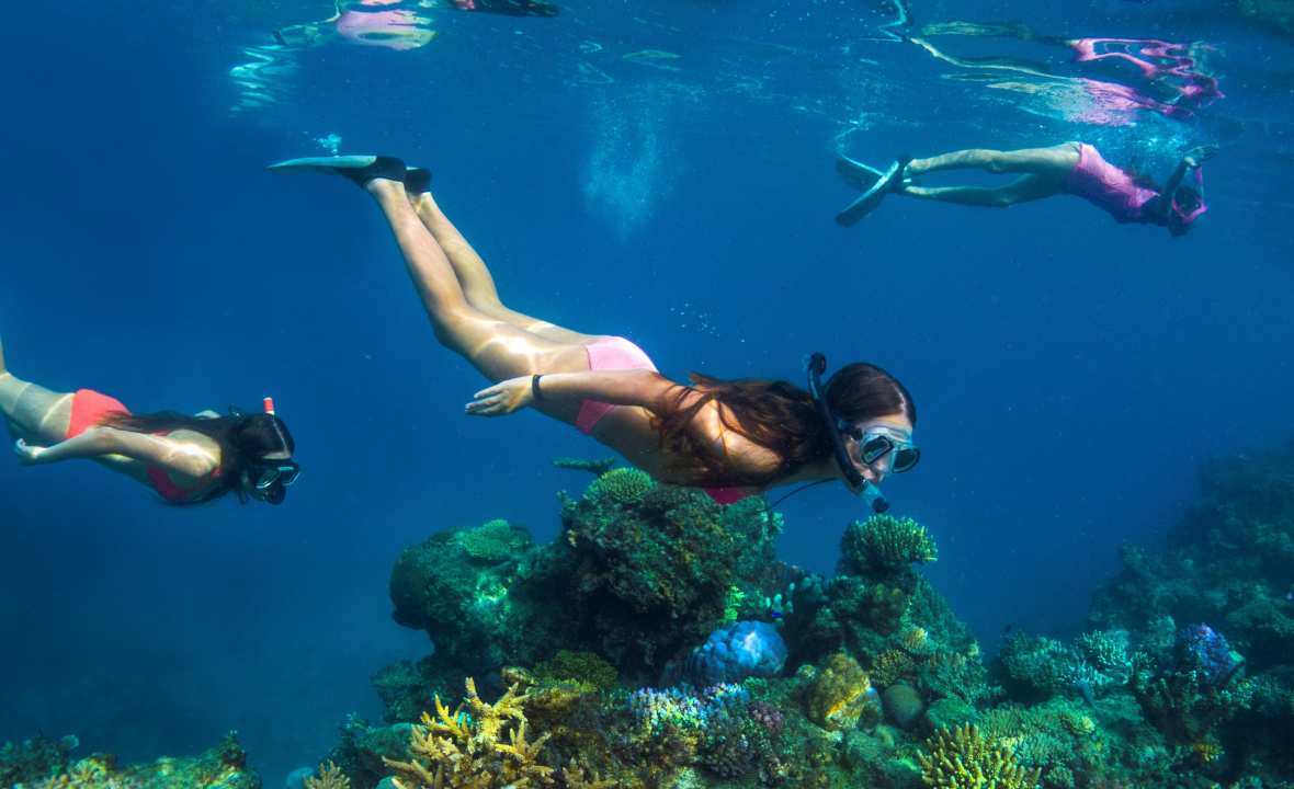 Fiji diving