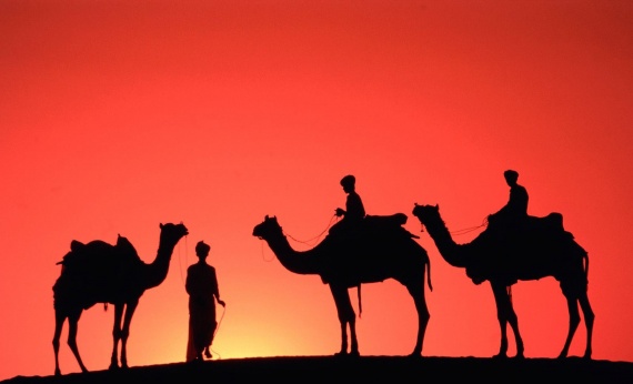 Dubai-camels-desert-UAE
