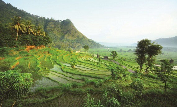 Ubud-Indonesia-view-experience-landscape-local