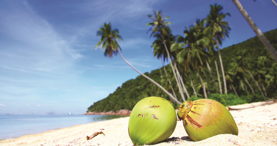 Seychelles-Beach-Scene-view-ocean-palm-couple-getaway-relax-resort