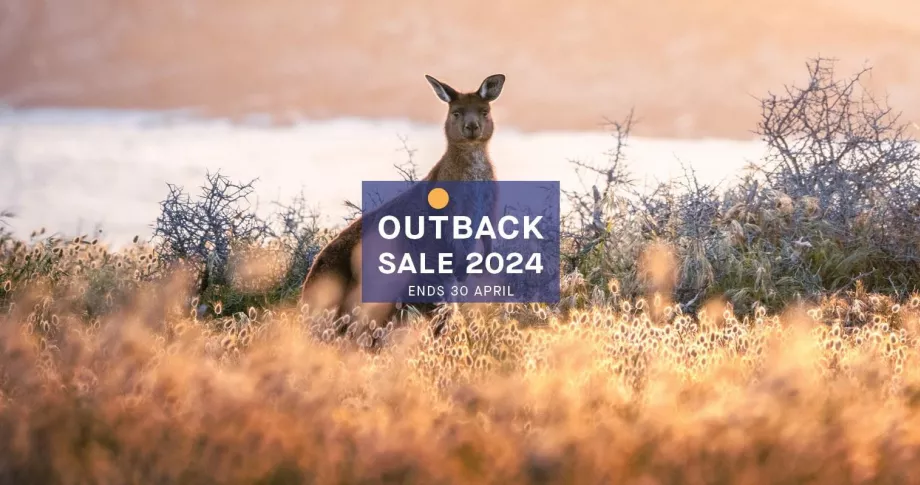 APT Outback Sale 2024