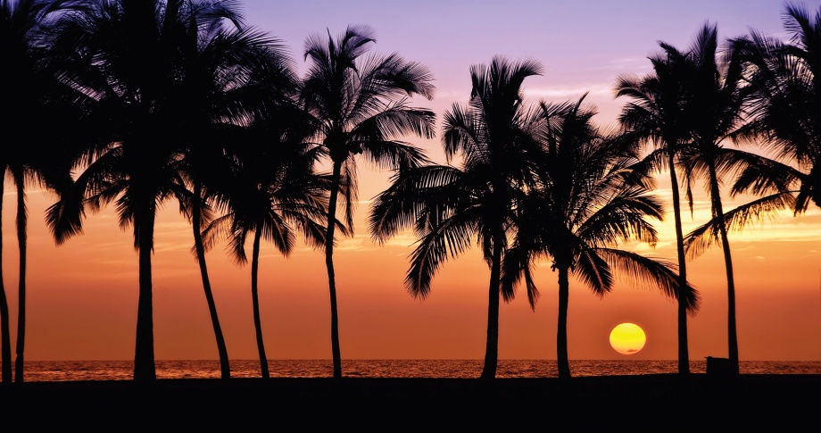 Hawaii-palm-trees-dusk-shot