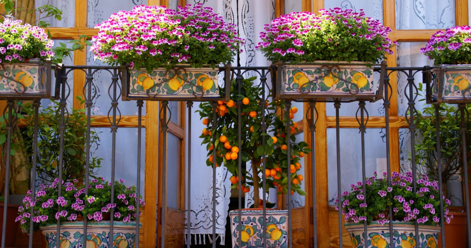 Window-Tuscany-Italy