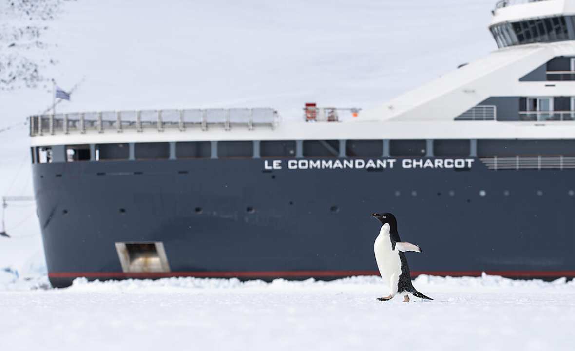 Ponant - Antarctica Peninsula Expedition