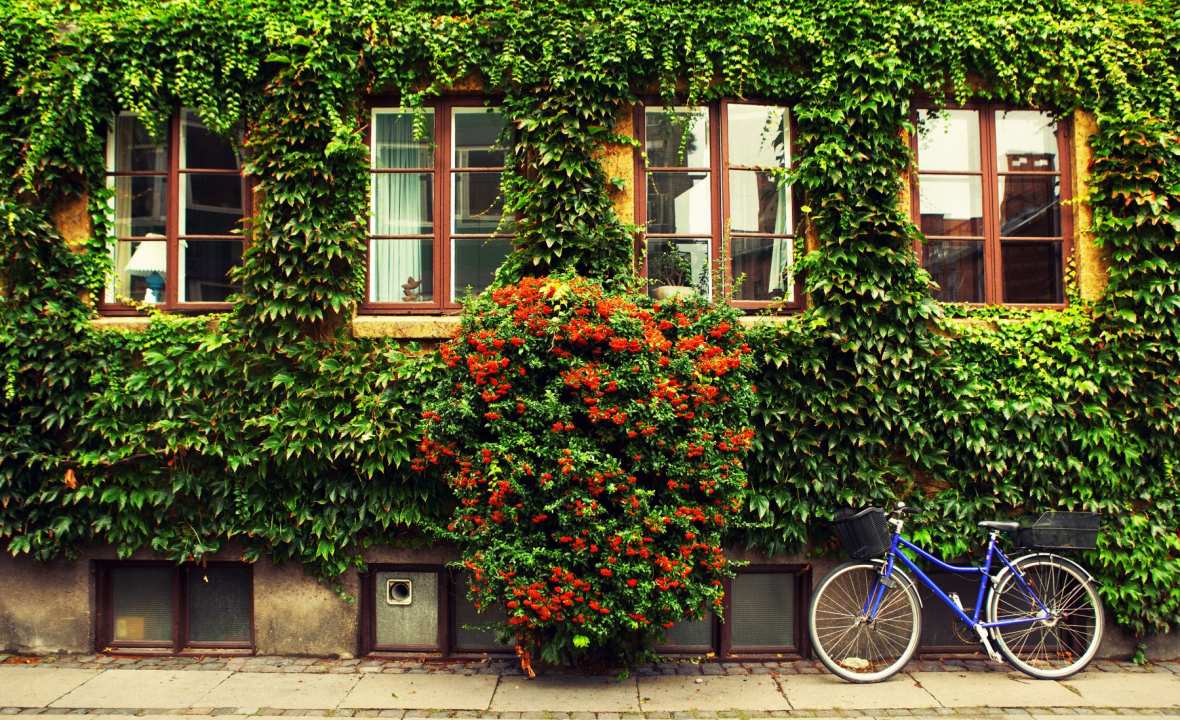Bicycle-Copenhagen