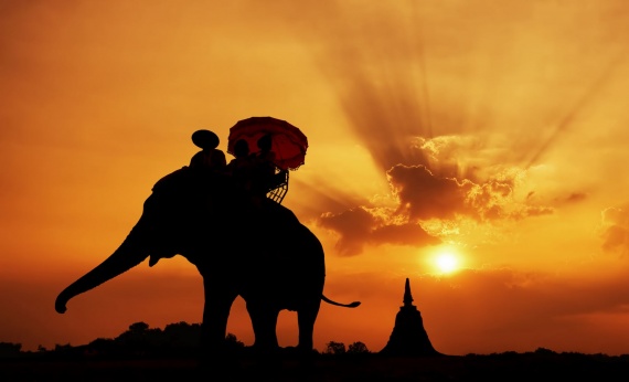 elephant-silhouette-sunset-landscape-view